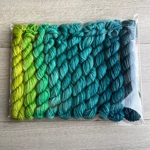 Hand Dyed Yarn - Mini Set - Worsted Weight