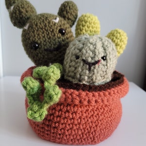 Crochet Succulent Plant Arrangement