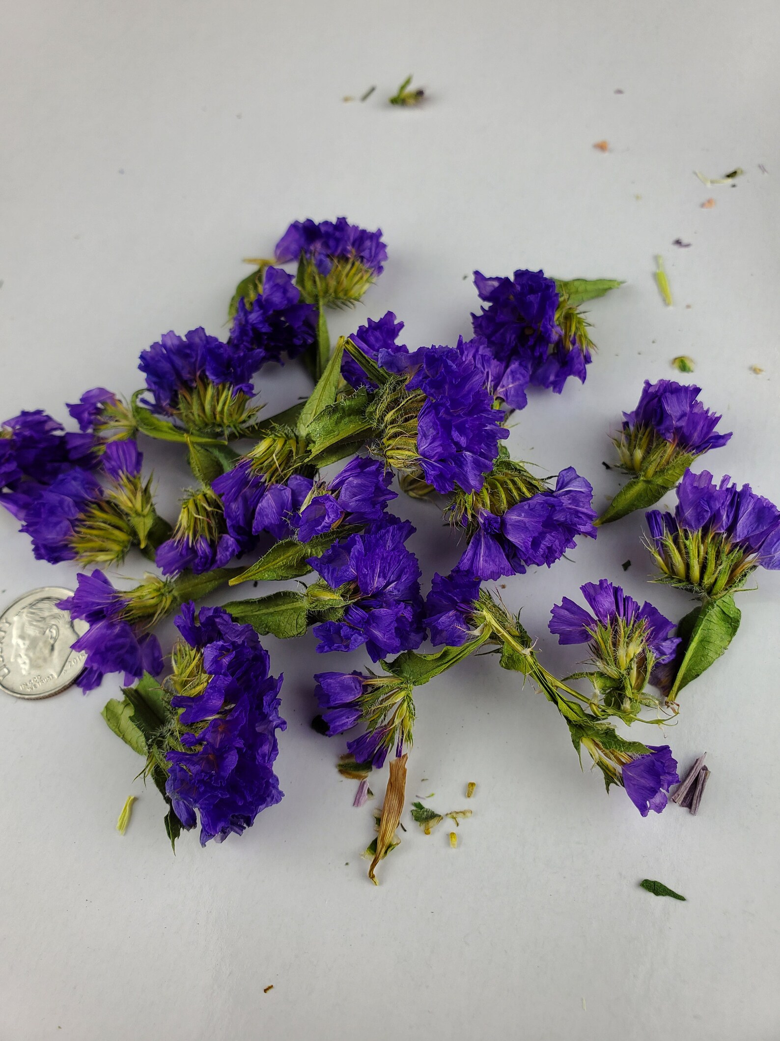 Tiny Dried Flowerspurple Statice for Resin Projects Other Etsy New