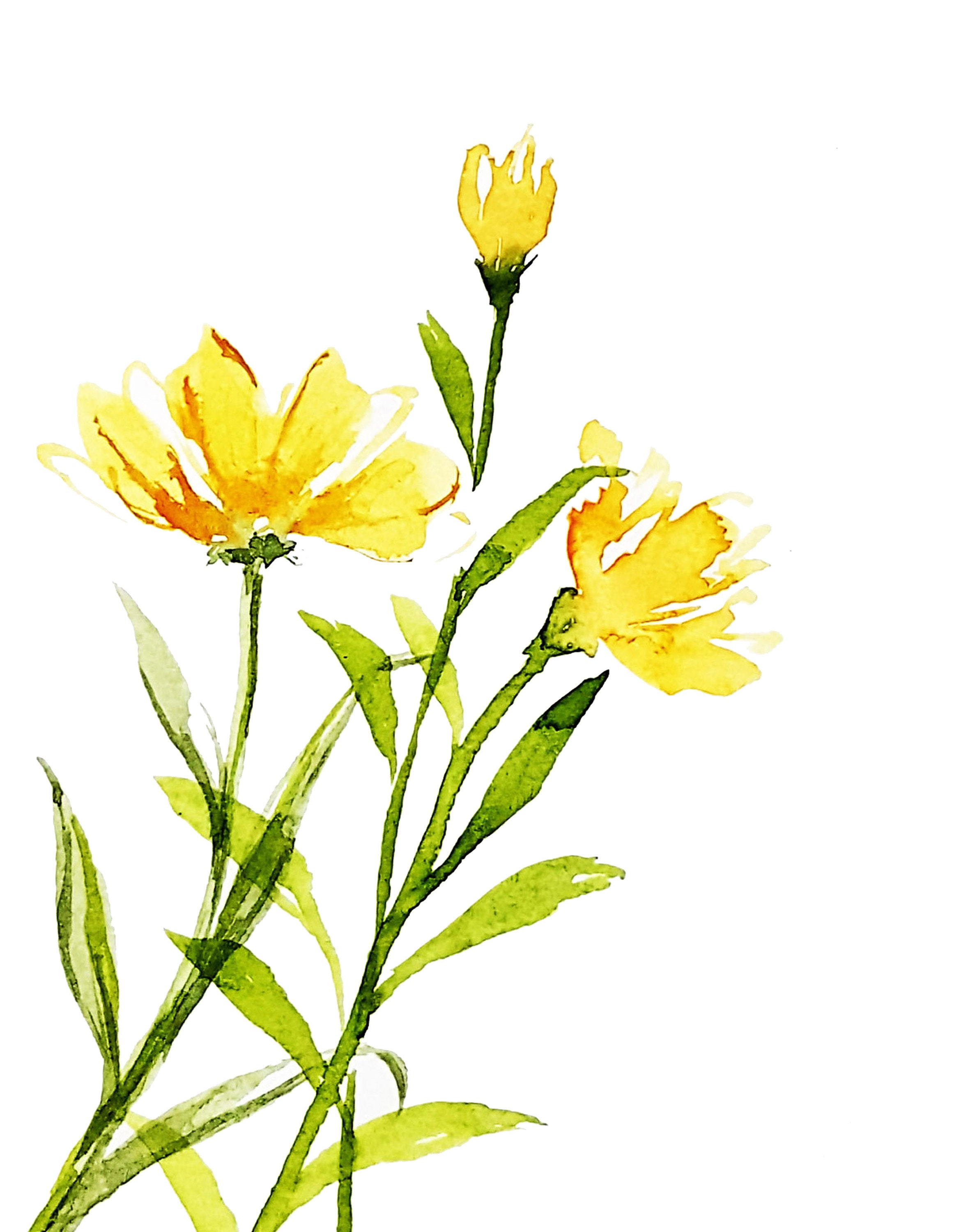 8. Yellow flowers/ Wall Art /Digital download/ Etsy