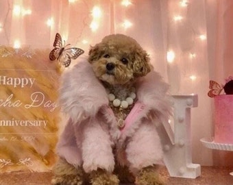 Pink Luxury Faux Fur Dog Coat