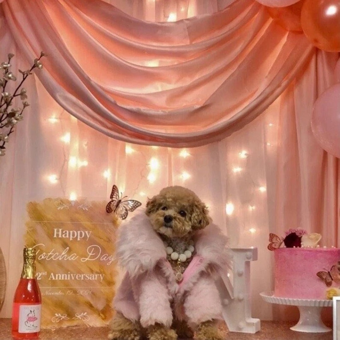 Pink Luxury Faux Fur Dog Coat Etsy