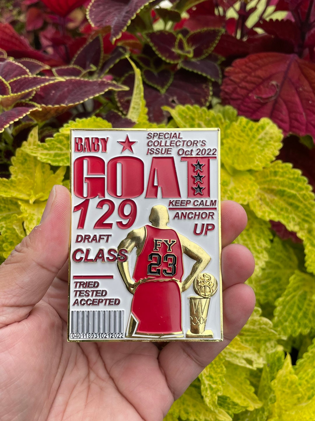 USN Class 129 FY-23 Baby GOAT Season Coin Bulls Red Jersey - Etsy