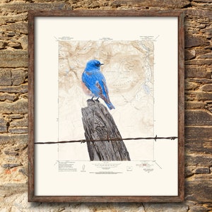 Bluebird - Mount Wilson Colorado location map custom map print - mountain wall art bird print on topographic map