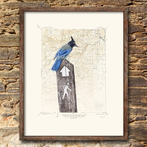 Hiking wall art - Boulder Colorado location map custom map print - Mountain wall art bird print on topographic map - hiking gift