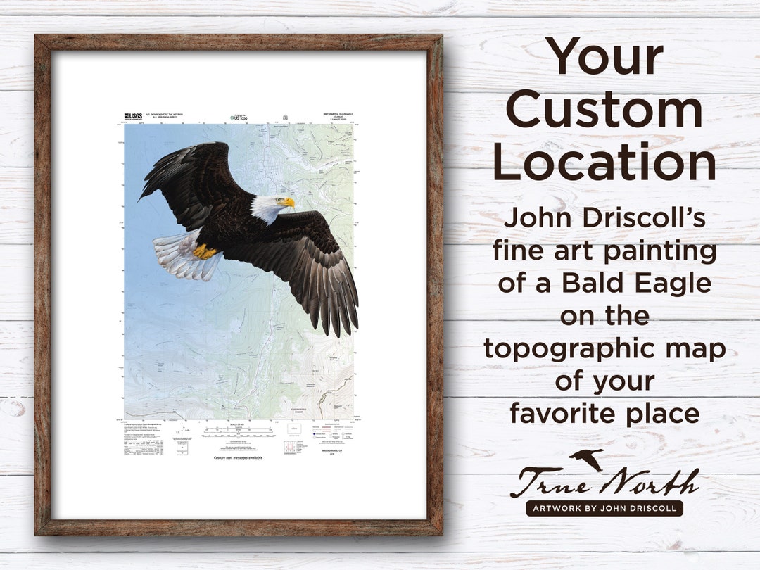 Bald Eagle Location Map Custom Map Print a Custom Background Etsy