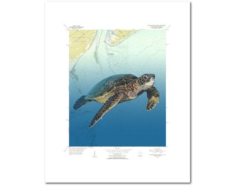 Sea Turtle art on Hilton Head South Carolina location map, custom map print for beach house decor, sea turtle wall art.