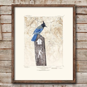 Hiking wall art - Pikes Peak Colorado location map custom map print - Mountain wall art bird print on topographic map - Hiking gift