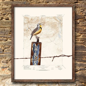 Bird print - Mount Wilson Colorado location map custom map print - mountain wall art bird print on topographic map