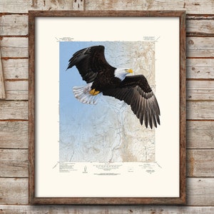 Eagle - Silverton Colorado location map custom map print - mountain wall art bird print on topographic map