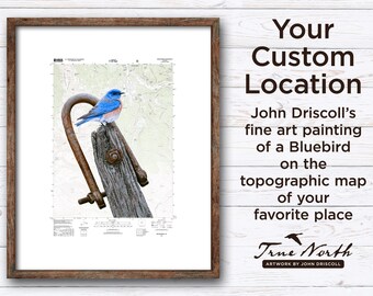 Bluebird location map custom map print - a custom background topographic map print with wildlife painting - unique new home gift