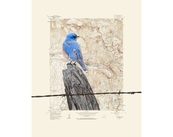 Bluebird - Telluride Colorado location map custom map print - mountain wall art bird print on topographic map