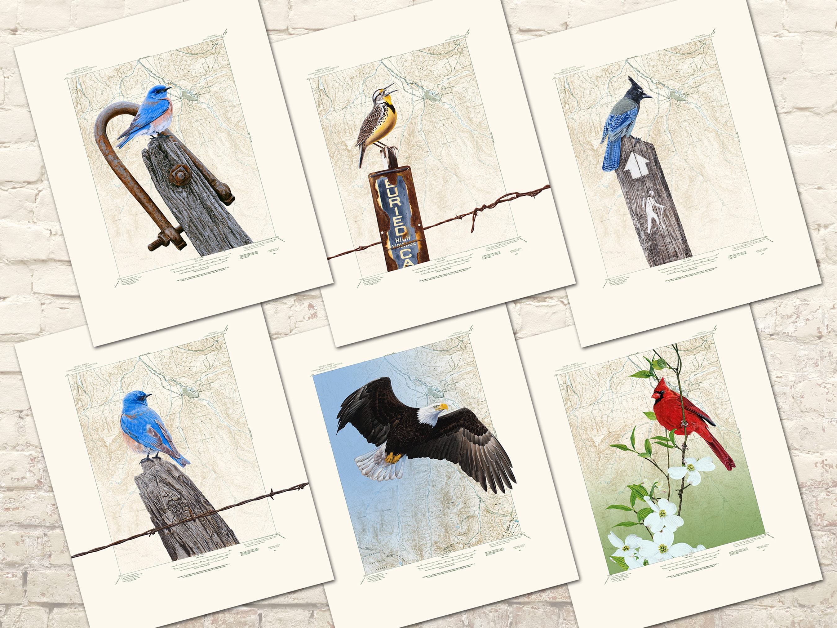 Bald Eagle Location Map Custom Map Print a Custom Background - Etsy