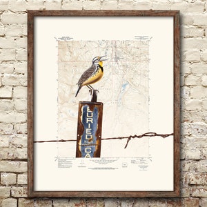 Bird print - Breckenridge Colorado location map custom map print - mountain wall art bird print on topographic map