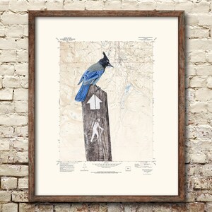 Hiking wall art - Breckenridge Colorado location map custom map print - Mountain wall art bird print on topographic map - Hiking gift