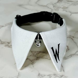 Cat Necklace | Personalized Cat Collar | Peter Pan Necklace | Breakaway | Small Dog Collar | Gothic Pet | Black White Necklace | Noir Heir Necklace