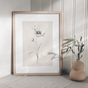 Poppy Flower Digital Print, Botanical Wall Art Printable, Wildflower Print Download, Living Room Decor, Vintage Style Floral Digital Art