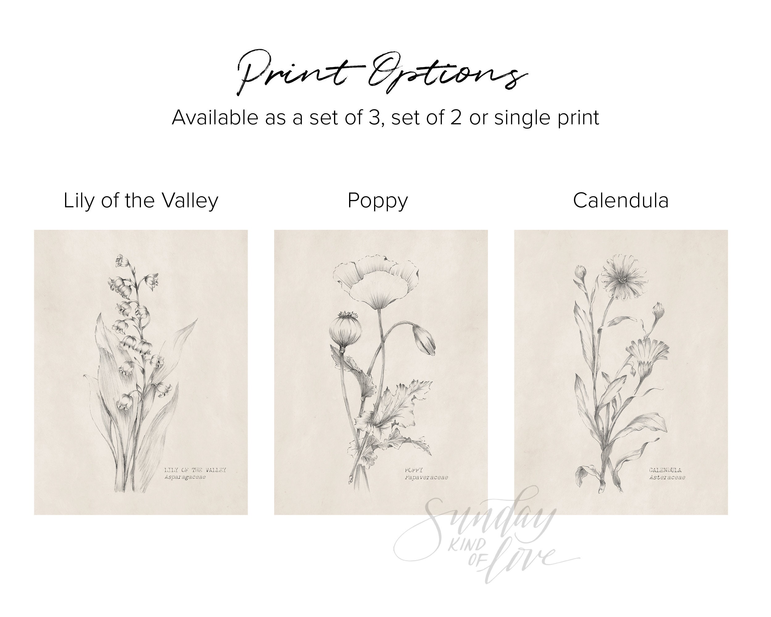 Floral Print Hand-sketched Print of Wildflowers Set of 3 - Etsy