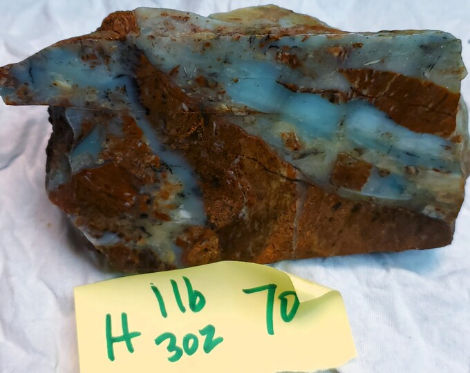 BC Ocean Picture Stone Rough 1 Lbs 3 Oz Etsy