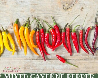 Könnte beinhalten: Draufsicht auf eine Auswahl an Cayennepfeffern in Gelb-, Orange- und Rottönen, angeordnet auf einer hellen Holzoberfläche. Der Text "MIXED CAYENNE PEPPER SEEDS" ist am unteren Bildrand zu sehen.
