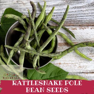 May include: A metal bowl filled with fresh Rattlesnake Pole Bean Seeds. The beans are long, green, and speckled with purple. The image also includes green leaves and the text "Rattlesnake Pole Bean Seeds."
