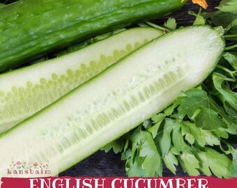 Könnte beinhalten: Bild von englischen Gurkensamen. Eine ganze grüne Gurke und eine halbierte Gurke, die die Samen zeigt. Die geschnittene Gurke ist weiß. Der Text "ENGLISH CUCUMBER SEEDS" wird auf einem roten Banner angezeigt. Frische Petersilie ist ebenfalls sichtbar.