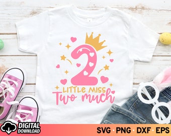 May include: A white t-shirt with a pink number 2, a gold crown, and the text "Little Miss Two Much".