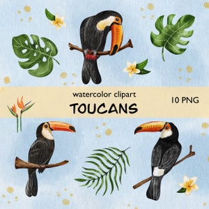 Adorable Toucans Watercolor Cliparts Bundle, Toucans clipart, Tropical birds, Toucan PNG, Tropical plants, Exotic Bird, summer clipart