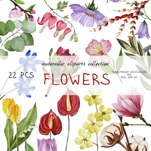 Watercolor Flowers Clipart Bundle: Floral PNG Collection
