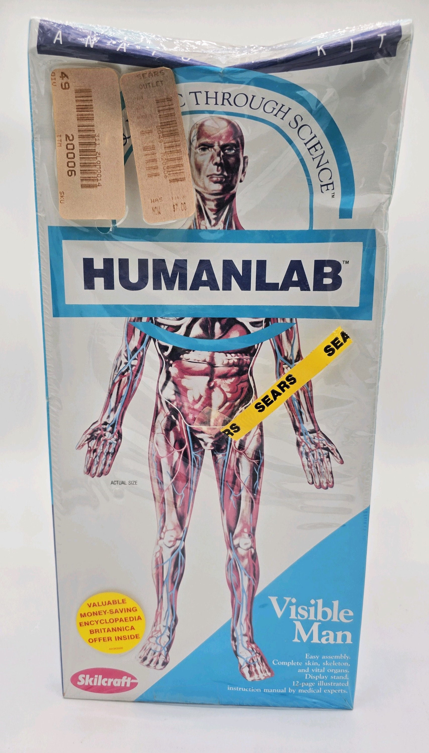 希少 Skil Craft Visible Man Anatomy Kit Skilcraft Visible Man Science Model Kit 74622 Anatomy | eBay