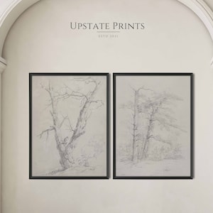 Set Of 2 Prints | Vintage Tree Sketch Art | Black & White Forest Print | Art History | PRINTABLE Wall Art Download | #GS30