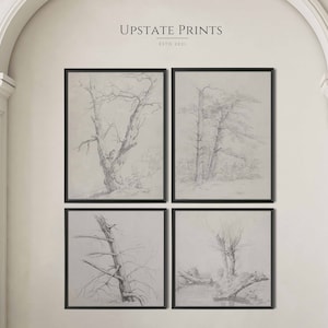 4er Set Prints | Schwarz-Weiß-Natur-Kunst | Vintage Galerie Wand Set | Baum Landschaft Skizze | DRUCKBARE Wandkunst | #GS28