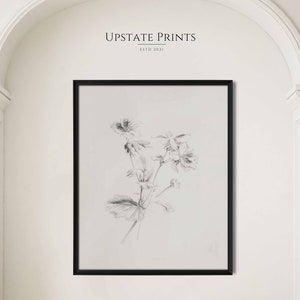 Botanical Flower Sketch | Black and White Art Print | Minimal Floral Wall Art | PRINTABLE Art Download | #116