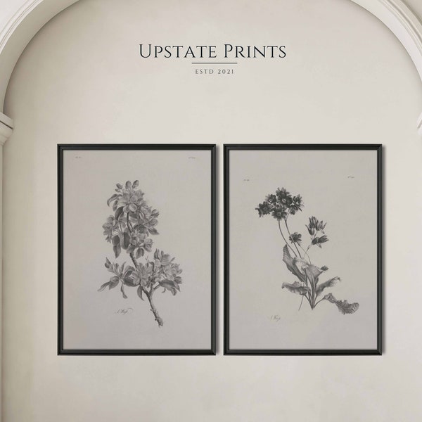 Set of 2 Prints | Botanical Prints Set | Floral Gallery Wall Prints | French Country Art | Art History | PRINTABLE Wall Art Download | #GS9