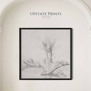 Pollard Willow Tree Drawing | Vintage Sketch Art | Black and White Print | Art History | PRINTABLE Wall Art Download | #68