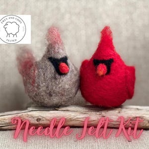 Needle Felt kit pair of cardinals, fun craft, kit for beginners fun little pair of cardinals
