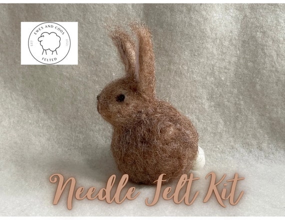 Kit: Bunny Needle Felt Kit, DIY Craft Kit, Felting Kit 