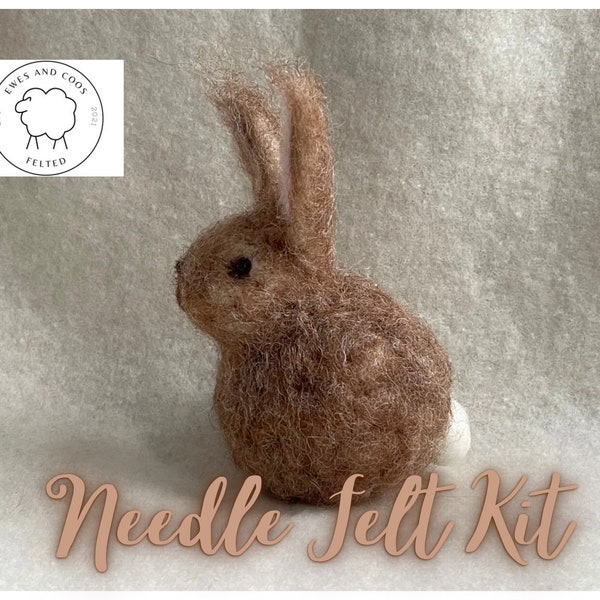 Needle Felt kit bunny, fun craft, kit for beginners adorable little bunny