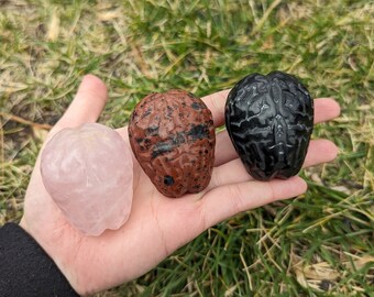 Anatomische Hirnschnitzereien - 5 cm lang - Rosenquarz, Mahagoni-Obsidian, Lepidolith, Erdbeere