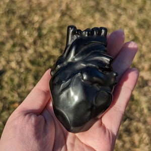 Obsidian anatomical human heart crystal carving - medical, science, gothic