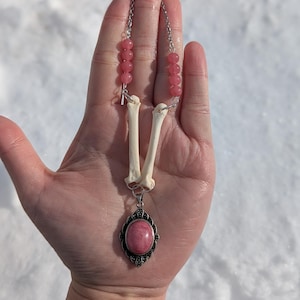 Coyote metacarpal and rhodonite pendant oddities necklace