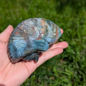 May include: A carved stone brain sculpture in shades of blue, brown, and green. The brain is held in a hand, with the intricate details of the brain's surface clearly visible. The sculpture is set against a backdrop of green grass.