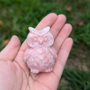 Könnte beinhalten: Eine kleine rosa Eulenfigur aus poliertem Stein. Die Eule hat ein detailliertes Gesicht und Federn.