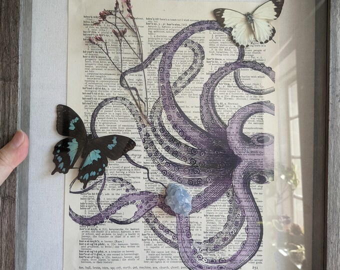 Handmade Oddities Shadow Box With Octopus Dictionary Page, Preserved ...