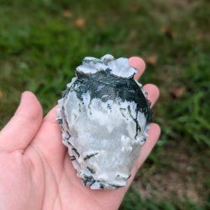 Moss agate longgui carving with quartz inclusions - dragon turtle crystal - feng shui guardian