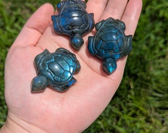 Mini labradorite turtles with blue green flash