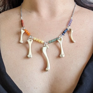 Pride necklaces with real bones and crystal beads - oddities jewelry