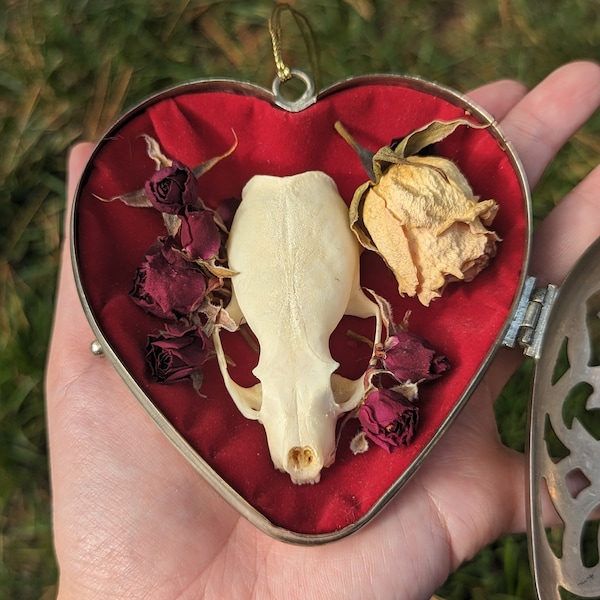 Mink skull in silver heart locket with dried roses