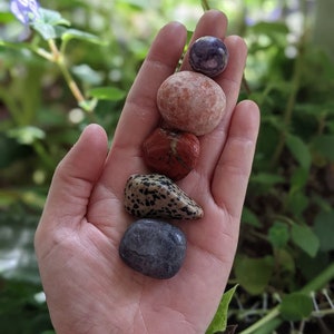 May include: A collection of five smooth, round stones in various colors and patterns, including purple, pink, red, brown with white spots, and gray. The stones are arranged vertically in a hand, with the largest stone at the top and the smallest at the bottom.