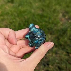Mini Labradorite Turtles With Blue Green Flash - Etsy